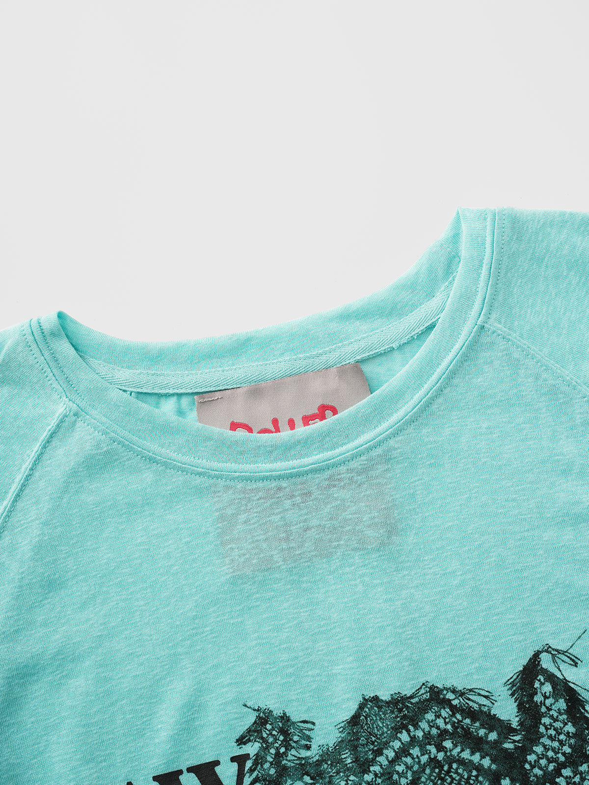 Fresh Cut Graphic Sleeve Tee – Aqua Mint