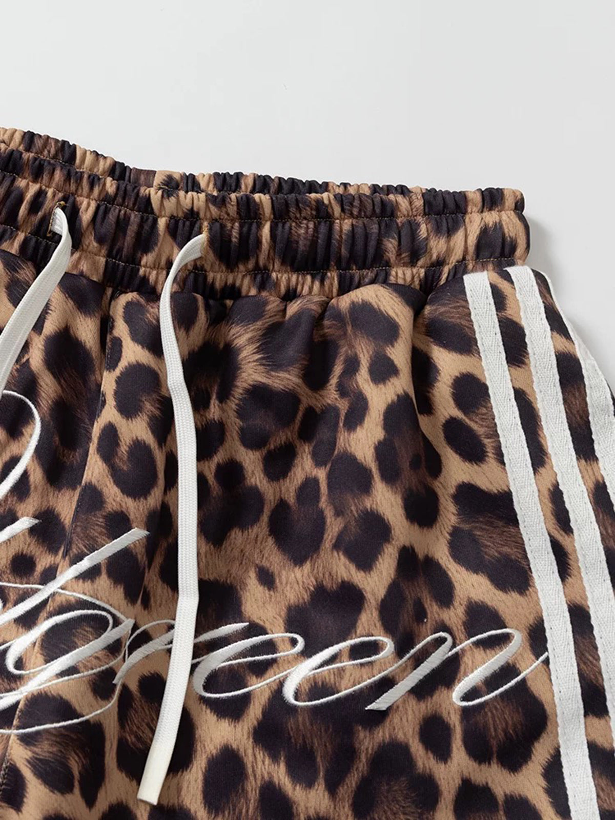 Brick Lane Wide-leg Embroidered Leopard Pants -- Brown