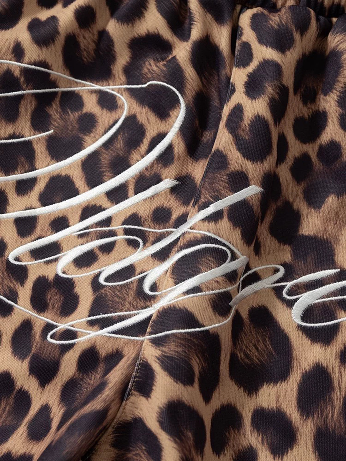 Brick Lane Wide-leg Embroidered Leopard Pants -- Brown