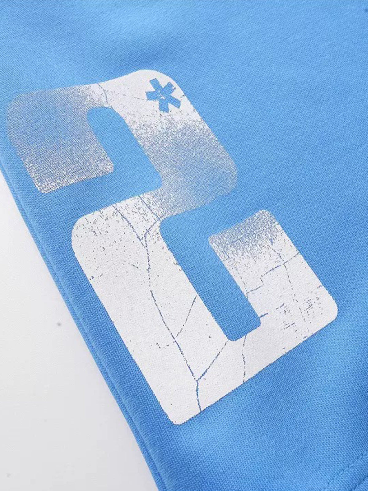 Co-ed Dorm Baggy Graphic Print Sweat Shorts - Blue