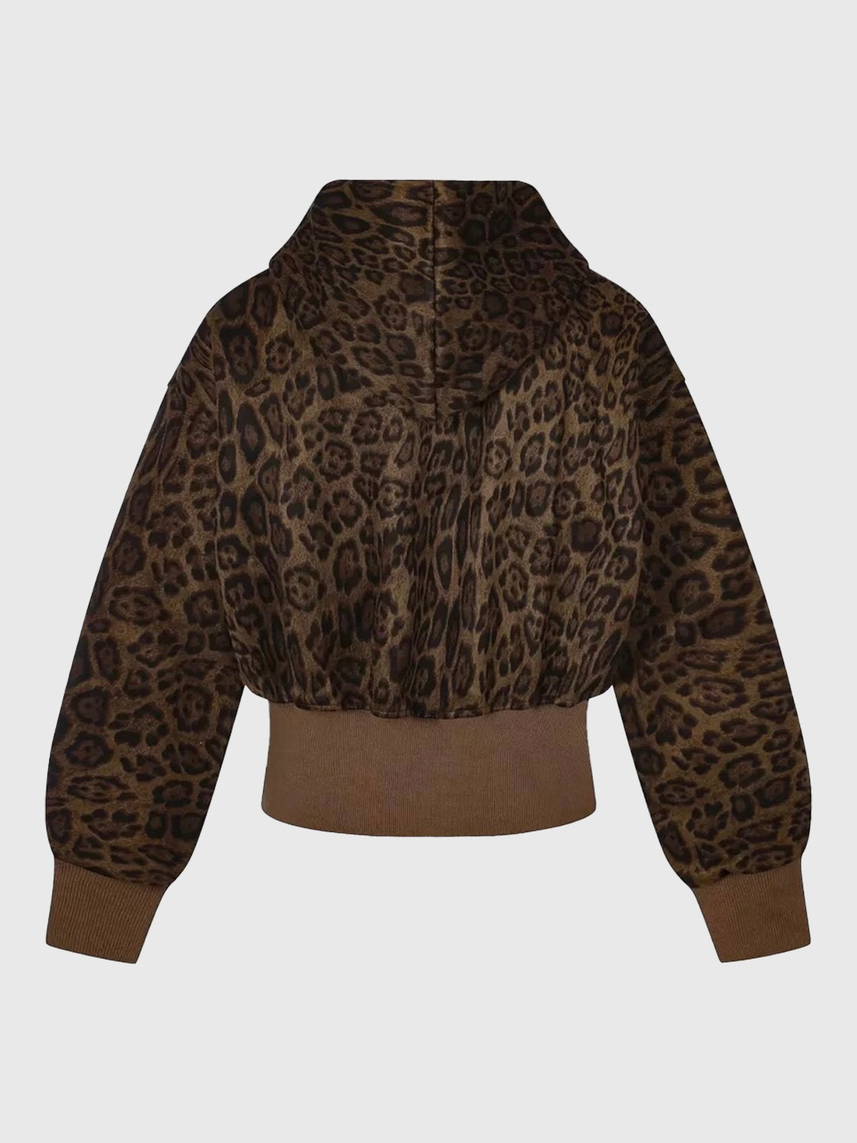 Co-ed Dorm  Skimming Leopard Graphic Zip-up Hoodie - Brown